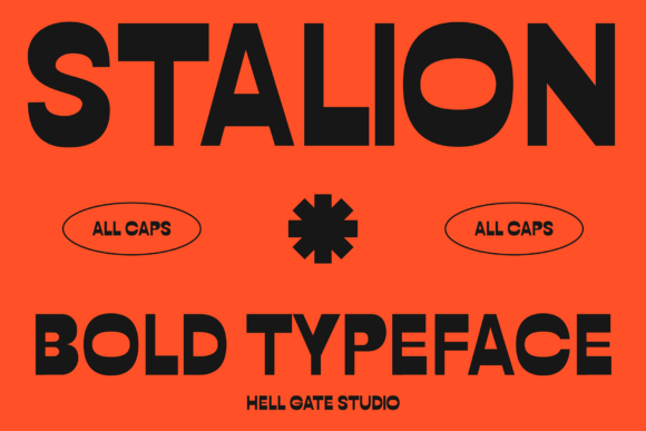 Stalion: The Retro Display Font for Bold Campaigns